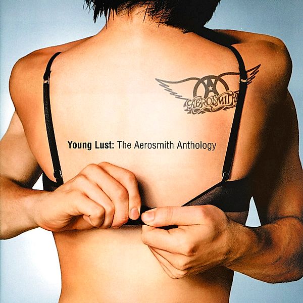 Young Lust: The Aerosmith Anthology (2 CDs), Aerosmith