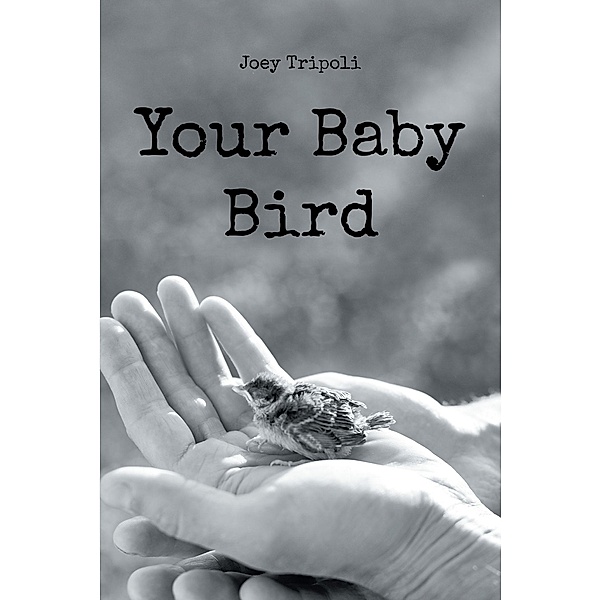 Your Baby Bird, Joey Tripoli