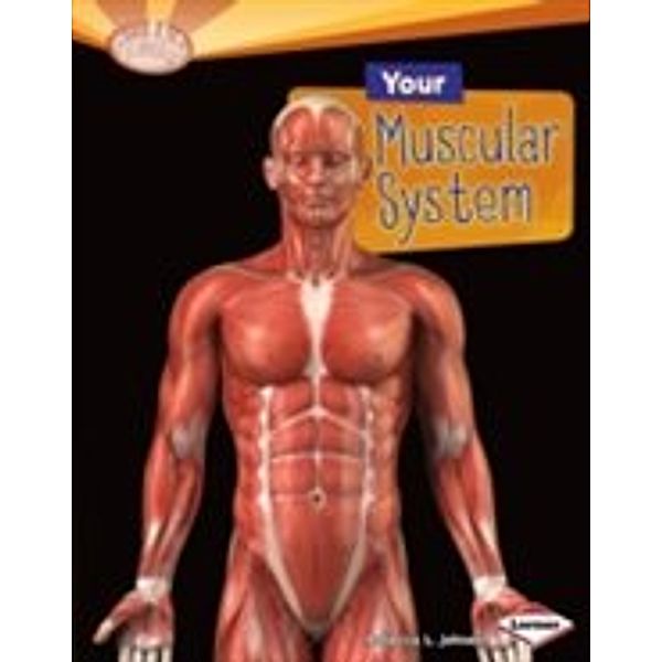 Your Muscular System, Rebecca L. Johnson