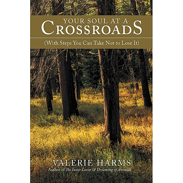 Your Soul at a Crossroads, Valerie Harms