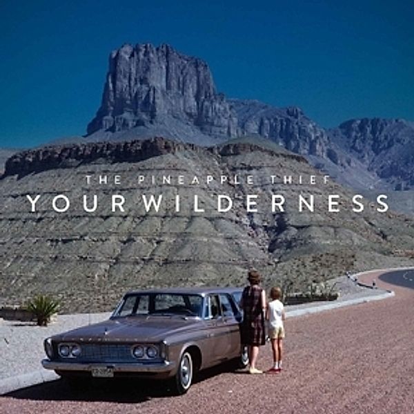 Your Wilderness, The Pineapple Thief