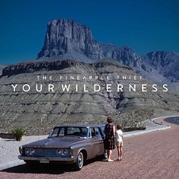Your Wilderness (Picture Lp) (Vinyl), The Pineapple Thief