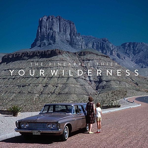 Your Wilderness (Vinyl), The Pineapple Thief