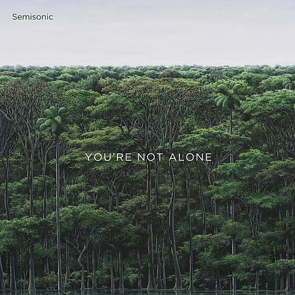 You'Re Not Alone, Semisonic