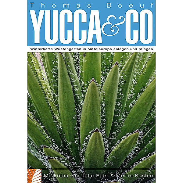 Yucca & Co, Thomas Boeuf