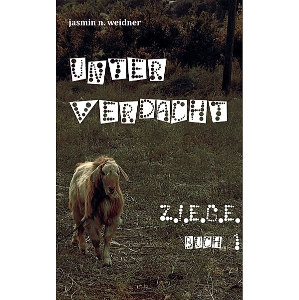 Z.I.E.G.E: Buch 1. Unter Verdacht, Jasmin N. Weidner