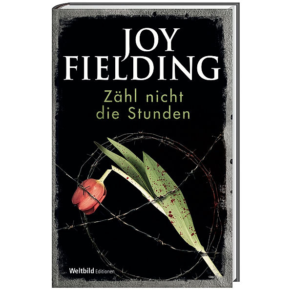 Zähl nicht die Stunden, Joy Fielding