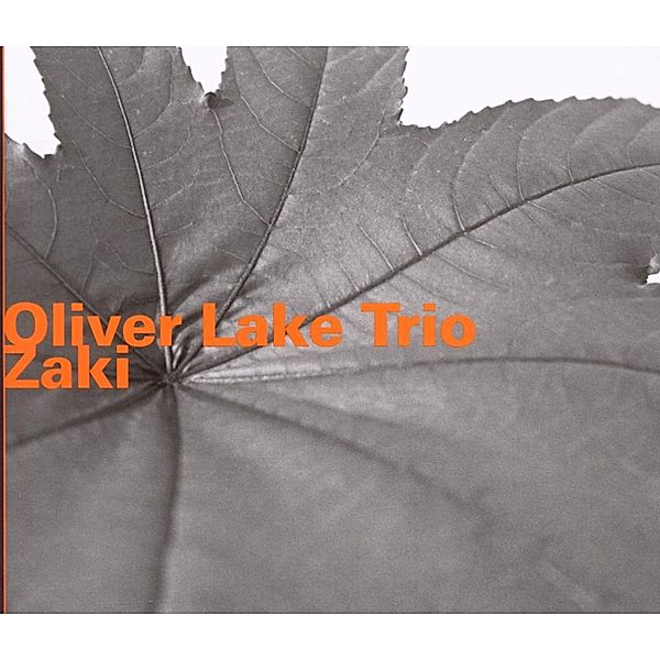 Zaki, Oliver Lake Trio