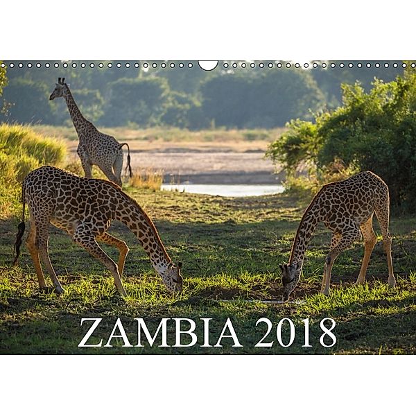 Zambia (Wall Calendar 2018 DIN A3 Landscape), Carsten Krueger