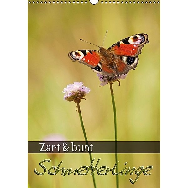 Zart & bunt: Schmetterlinge (Posterbuch DIN A3 hoch)