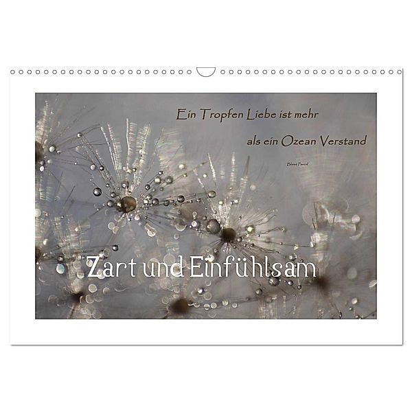 Zart und Einfühlsam (Wandkalender 2024 DIN A3 quer), CALVENDO Monatskalender, Anne Madalinski