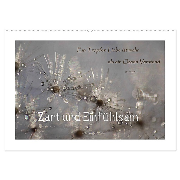 Zart und Einfühlsam (Wandkalender 2025 DIN A2 quer), CALVENDO Monatskalender, Calvendo, Anne Madalinski