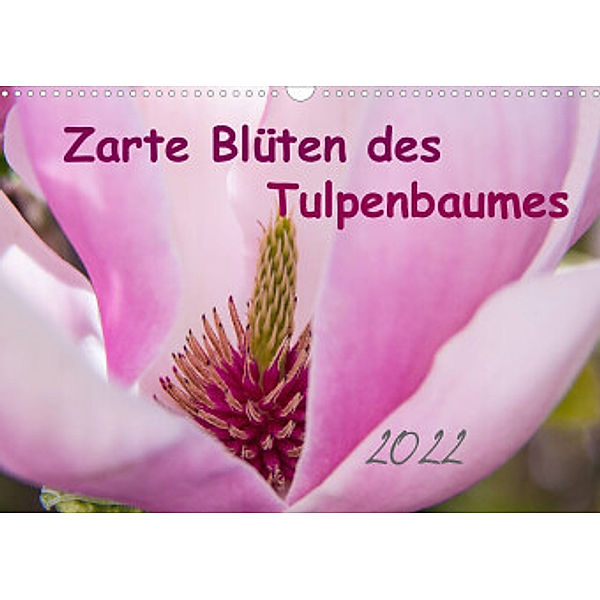 Zarte Blüten des Tulpenbaumes (Wandkalender 2022 DIN A3 quer), Elke Laage