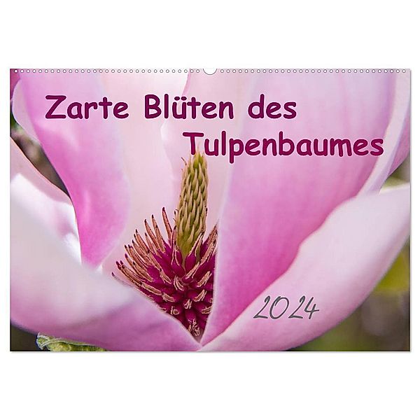 Zarte Blüten des Tulpenbaumes (Wandkalender 2024 DIN A2 quer), CALVENDO Monatskalender, Elke Laage