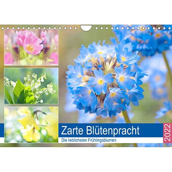 Zarte Blütenpracht. Die lieblichsten Frühlingsblumen (Wandkalender 2022 DIN A4 quer), Rose Hurley