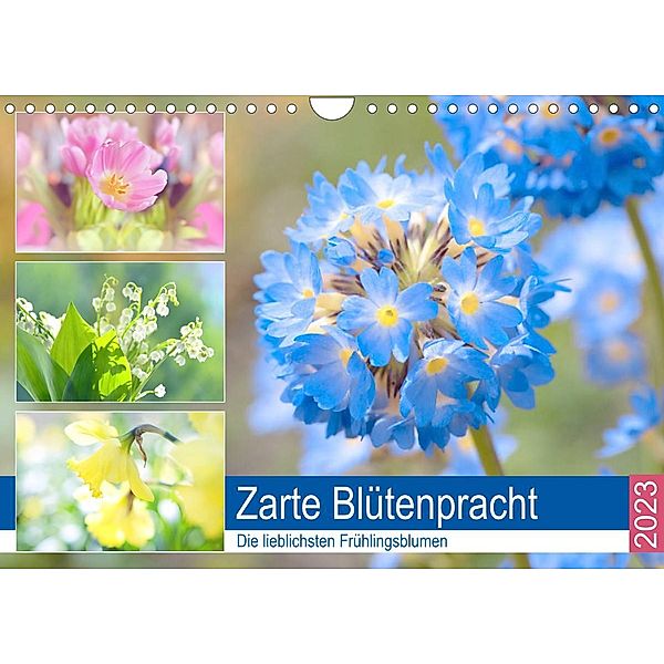 Zarte Blütenpracht. Die lieblichsten Frühlingsblumen (Wandkalender 2023 DIN A4 quer), Rose Hurley