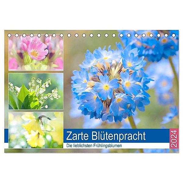 Zarte Blütenpracht. Die lieblichsten Frühlingsblumen (Tischkalender 2024 DIN A5 quer), CALVENDO Monatskalender, Rose Hurley