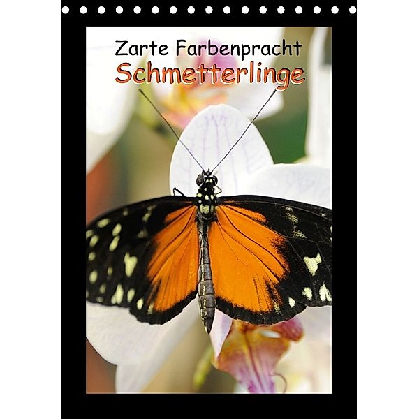 Zarte Farbenpracht: Schmetterlinge (Tischkalender 2014 DIN A5 hoch)