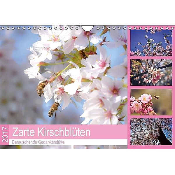 Zarte Kirschblüten - Berauschende Gedankendüfte (Wandkalender 2017 DIN A4 quer), Bettina Hackstein
