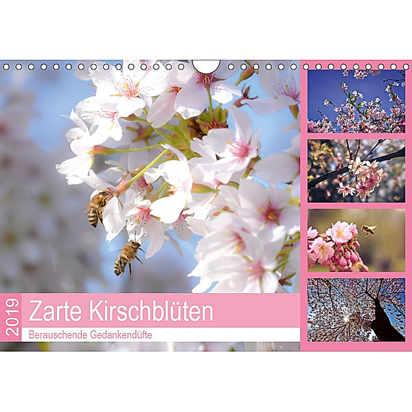 Zarte Kirschblüten - Berauschende Gedankendüfte (Wandkalender 2019 DIN A4 quer), Bettina Hackstein
