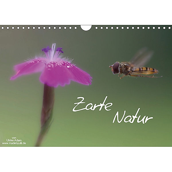 Zarte Natur 2019 (Wandkalender 2019 DIN A4 quer), Ulrike Adam