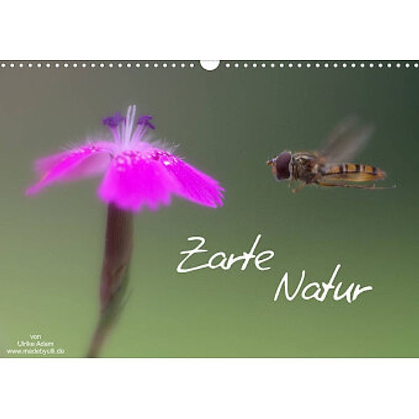 Zarte Natur  2022 (Wandkalender 2022 DIN A3 quer), Ulrike Adam
