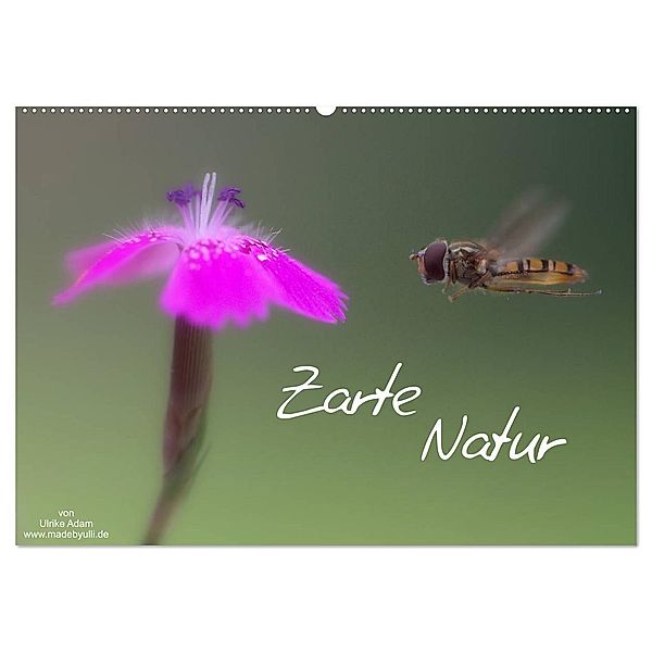 Zarte Natur 2024 (Wandkalender 2024 DIN A2 quer), CALVENDO Monatskalender, Ulrike Adam