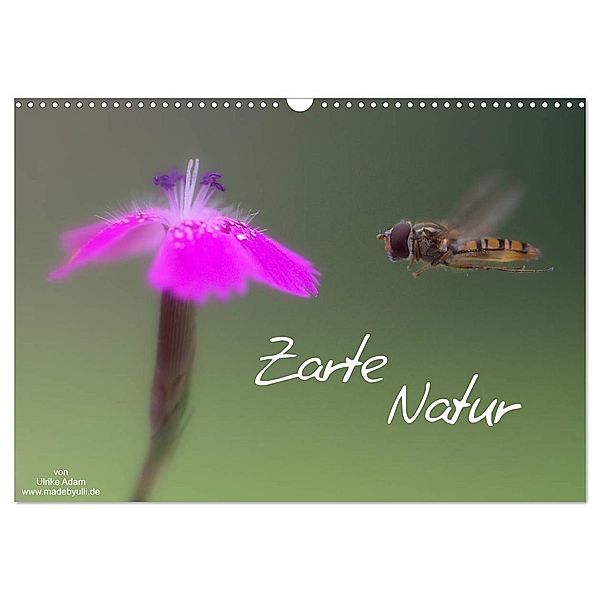 Zarte Natur 2024 (Wandkalender 2024 DIN A3 quer), CALVENDO Monatskalender, Ulrike Adam