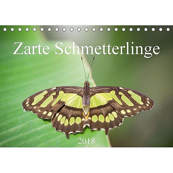 Zarte Schmetterlinge (Tischkalender 2018 DIN A5 quer), Markus Gann (magann), Markus Gann