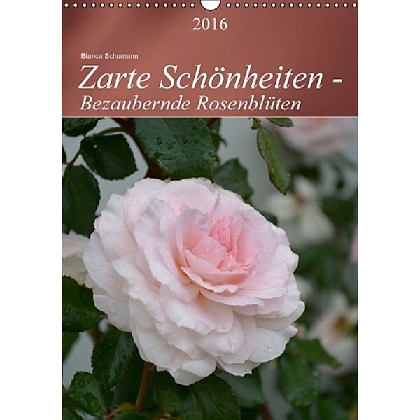 Zarte Schönheiten - Bezaubernde Rosenblüten AT-Version (Wandkalender 2016 DIN A3 hoch), Bianca Schumann