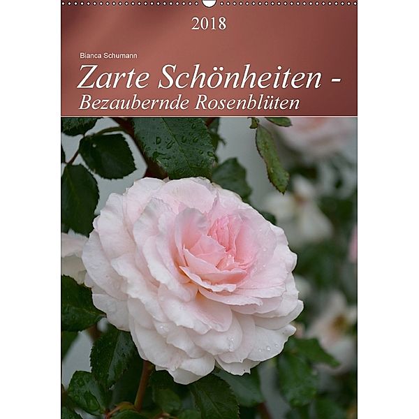 Zarte Schönheiten - Bezaubernde RosenblütenAT-Version (Wandkalender 2018 DIN A2 hoch), Bianca Schumann
