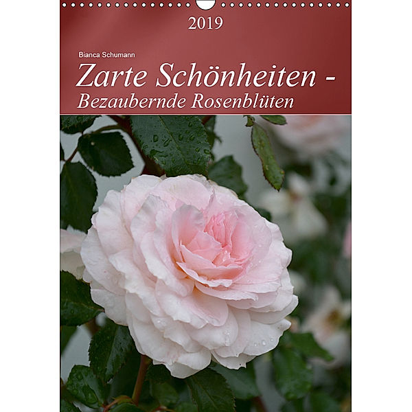 Zarte Schönheiten - Bezaubernde RosenblütenAT-Version (Wandkalender 2019 DIN A3 hoch), Bianca Schumann