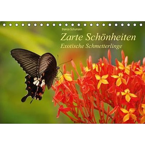 Zarte Schönheiten Exotische Schmetterlinge (Tischkalender 2016 DIN A5 quer), Bianca Schumann