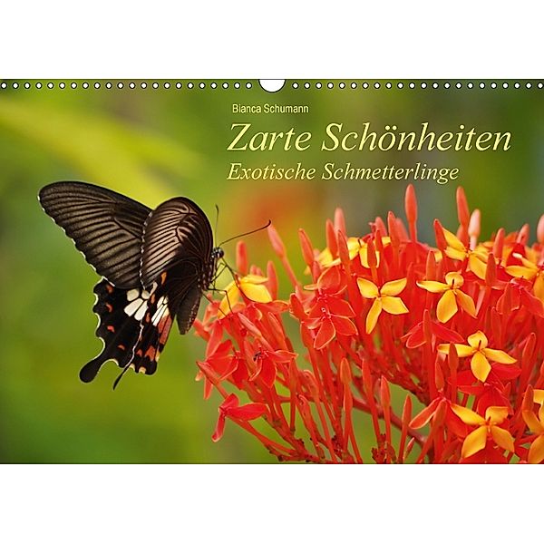 Zarte Schönheiten Exotische Schmetterlinge (Wandkalender 2018 DIN A3 quer), Bianca Schumann