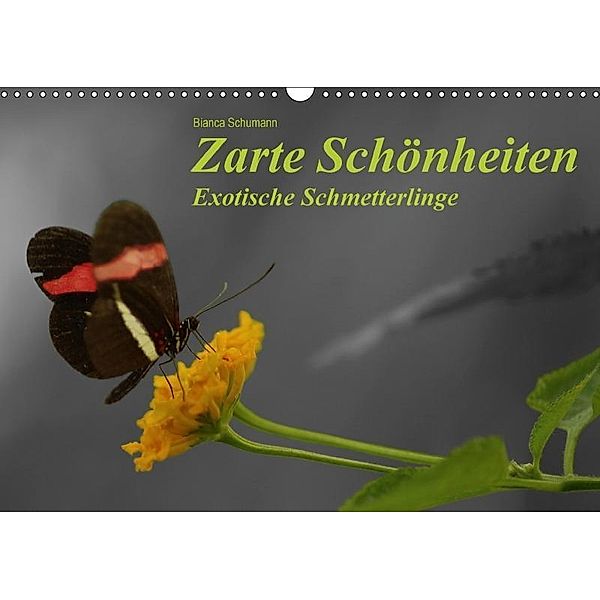 Zarte Schönheiten Exotische Schmetterlinge (Wandkalender 2017 DIN A3 quer), Bianca Schumann