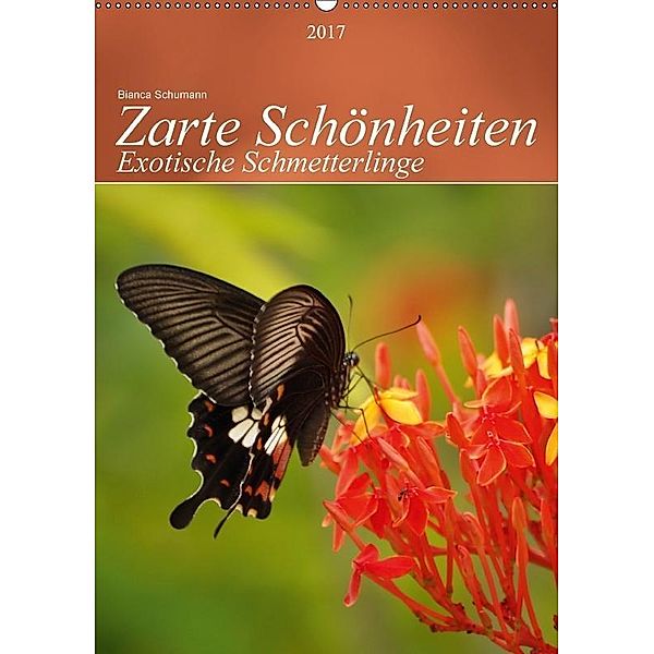 Zarte Schönheiten Exotische Schmetterlinge / Planer (Wandkalender 2017 DIN A2 hoch), Bianca Schumann