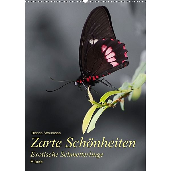 Zarte Schönheiten Exotische Schmetterlinge / Planer (Wandkalender 2018 DIN A2 hoch), Bianca Schumann