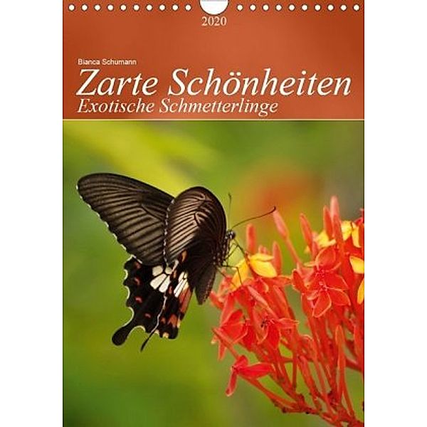 Zarte Schönheiten Exotische Schmetterlinge / Planer (Wandkalender 2020 DIN A4 hoch), Bianca Schumann
