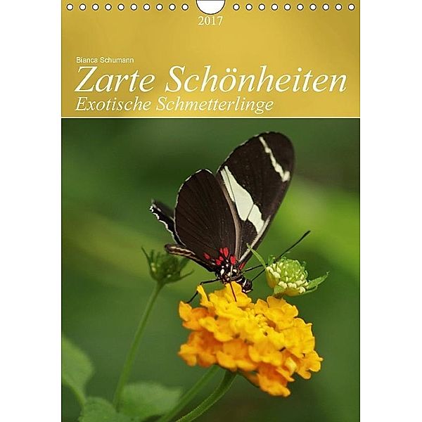 Zarte Schönheiten Exotische Schmetterlinge / PlanerCH-Version (Wandkalender 2017 DIN A4 hoch), Bianca Schumann