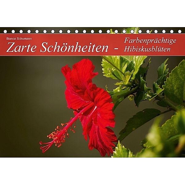 Zarte Schönheiten - Farbenprächtige Hibiskusblüten (Tischkalender immerwährend DIN A5 quer), Bianca Schumann