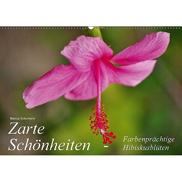 Zarte Schönheiten - Farbenprächtige Hibiskusblüten (Wandkalender 2018 DIN A2 quer), Bianca Schumann