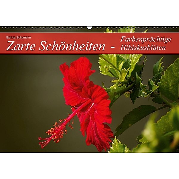 Zarte Schönheiten - Farbenprächtige Hibiskusblüten (Wandkalender immerwährend DIN A2 quer), Bianca Schumann