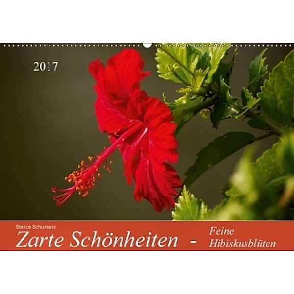 Zarte Schönheiten - Feine HibiskusblütenAT-Version (Wandkalender 2017 DIN A2 quer), Bianca Schumann