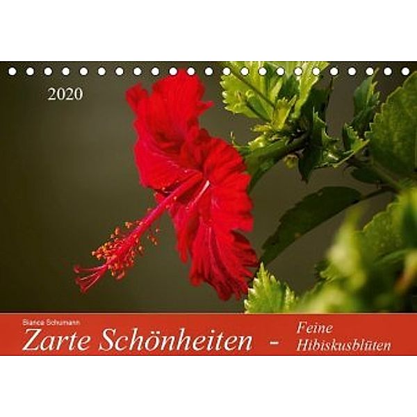 Zarte Schönheiten - Feine HibiskusblütenAT-Version (Tischkalender 2020 DIN A5 quer), Bianca Schumann