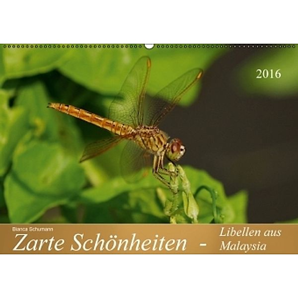 Zarte Schönheiten - Libellen aus Malaysia AT-Version (Wandkalender 2016 DIN A2 quer), Bianca Schumann