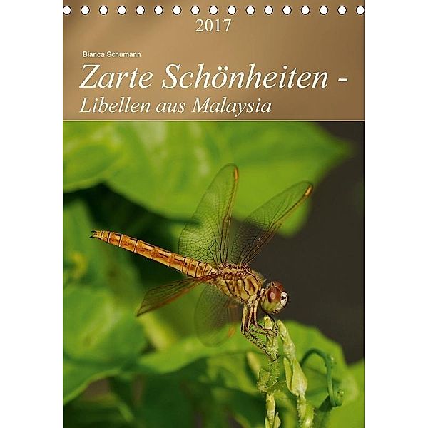 Zarte Schönheiten - Libellen aus MalaysiaAT-Version (Tischkalender 2017 DIN A5 hoch), Bianca Schumann