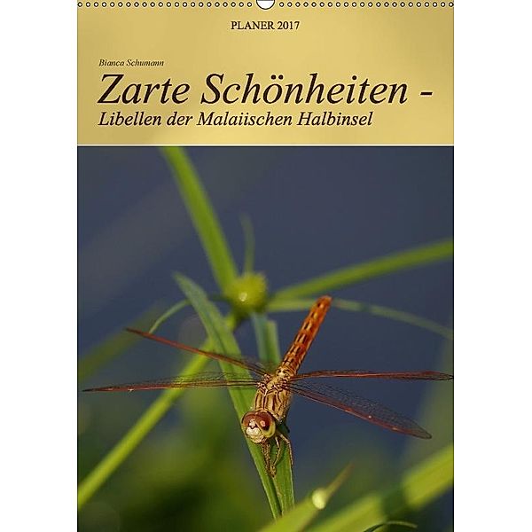 Zarte Schönheiten - Libellen der Malaiischen Halbinsel / Planer (Wandkalender 2017 DIN A2 hoch), Bianca Schumann