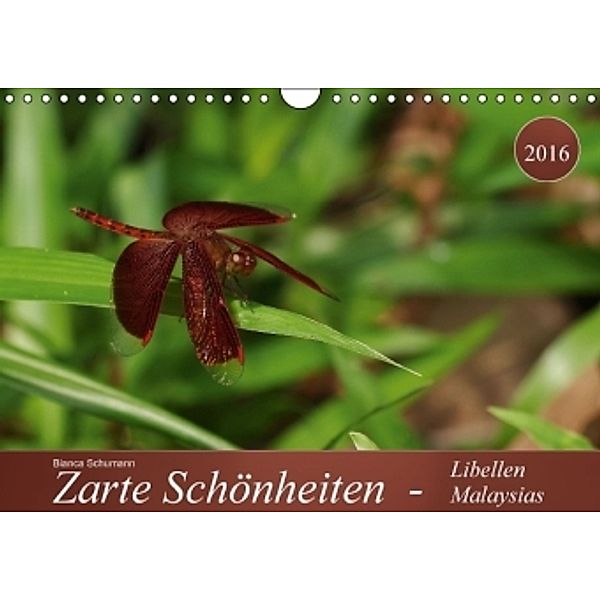 Zarte Schönheiten - Libellen Malaysias CH-Version (Wandkalender 2016 DIN A4 quer), Bianca Schumann