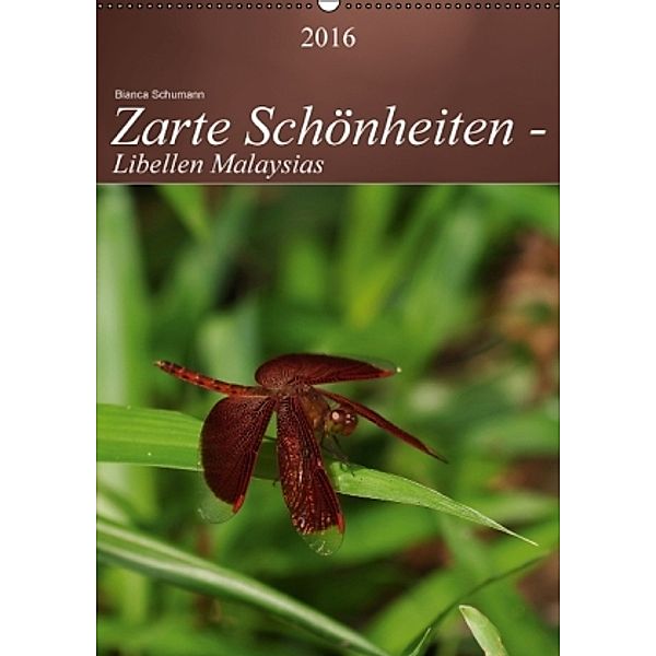 Zarte Schönheiten - Libellen Malaysias CH-Version (Wandkalender 2016 DIN A2 hoch), Bianca Schumann