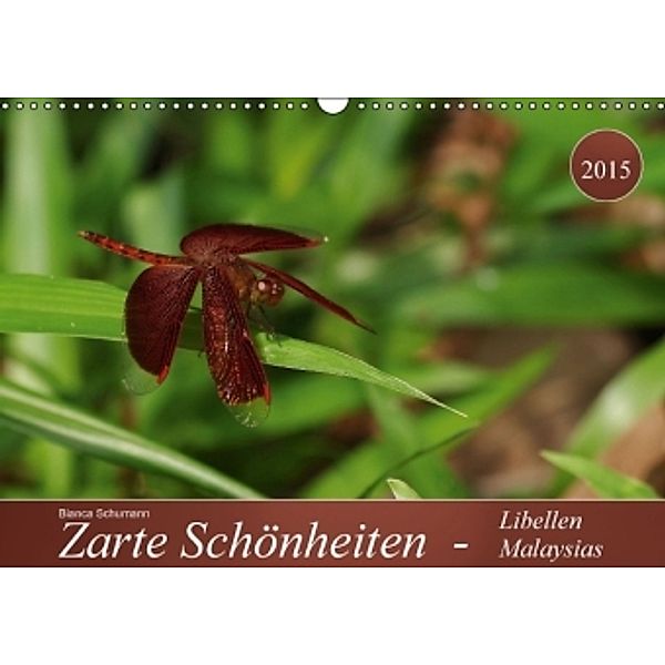 Zarte Schönheiten - Libellen MalaysiasCH-Version (Wandkalender 2015 DIN A3 quer), Bianca Schumann